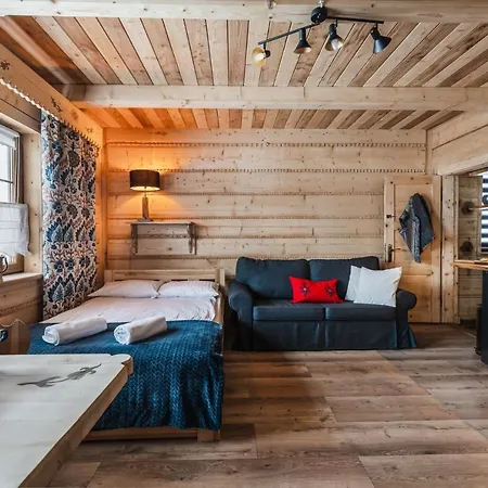 Apartamenty Truchanowka Przy Dolinie Chocholowskiej Witów Exterior foto